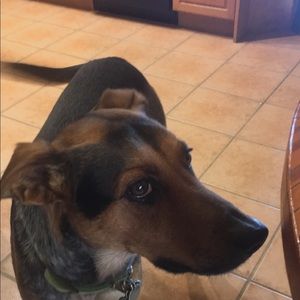 Meet your Posher, Mikayla